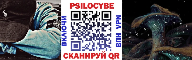 кракен маркетплейс  Лаишево  Псилоцибиновые грибы Magic Shrooms 